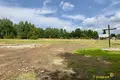 Atterrir  Rakauski sielski Saviet, Bélarus
