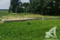 Atterrir  Lyscycki sielski Saviet, Bélarus