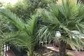 House 180 bedrooms 200 m² Prcanj, Montenegro