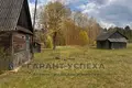 House 45 m² Vielikarycki sielski Saviet, Belarus