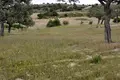 Atterrir 1 chambre 4 000 m² Nikiti, Grèce