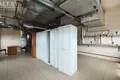 Shop 10 761 m² in Slutsk, Belarus