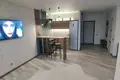 Wohnung 1 zimmer 46 m² in Minsk, Belarus