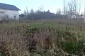 Land  Gatchinsky District, Russia