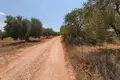 Atterrir 1 chambre  Nikiti, Grèce