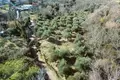 Land 1 100 m² Municipality of Lopar, Croatia