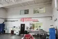 Manufacture 6 rooms 1 882 m² in Hradno, Belarus