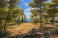 Parcelas 15 000 m² Nikiti, Grecia