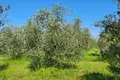 Шале 35 000 м² Город Ровинь, Хорватия