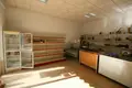 Commercial property 38 m² in Alicante, Spain