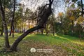 Квартира 2 комнаты 46 м² Минск, Беларусь
