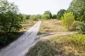 Land 1 room 3 902 m² Otwock, Poland