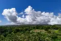 Działki 10 000 000 m² Kutampi Kaler, Indonezja