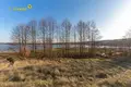 Haus 123 m² Zalieski sielski Saviet, Belarus