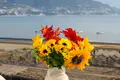 Two Bedroom Apartment For Daily Rent In Old Beach Area, Vlore Albania
