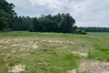 Земельные участки 23 654 м² Dobra Nadzieja, Польша