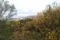 Land  Montenegro, Montenegro