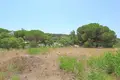 Land  Artola, Spain