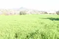 Земельные участки  Тала, Кипр