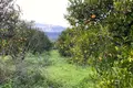 Land 1 room  Kirtomados, Greece