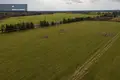 Land  Neveronys, Lithuania