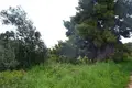 Земельные участки 1 комната  Криопиги, Греция