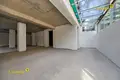Commercial property 841 m² in Minsk, Belarus