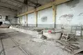 Producción 878 m² en Karelichy, Belarús