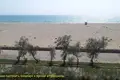 Commercial property 12 600 m² in Saky, Ukraine