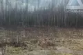 Земельные участки  Раменский муниципальный округ, Россия