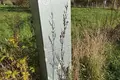 Land 2 401 m² Salaspils pagasts, Latvia