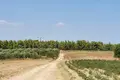 Land 1 room  Kassandreia, Greece