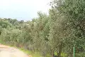 Land 1 room 1 800 m² Perithia, Greece