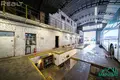 Manufacture 290 m² in Novy Dvor, Belarus