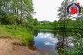Дом 35 м² Нарочанский сельский Совет, Беларусь