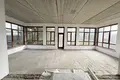 6 room house 392 m² Lymanka, Ukraine