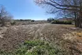 6 bedroom house 383 m² el Pinos Pinoso, Spain