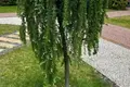 Appartement 1 chambre 26 m² Kopishche, Bélarus