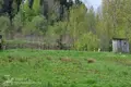 Grundstück  Luhavaslabadski sielski Saviet, Belarus