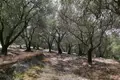 Land 1 room  Lauki, Greece