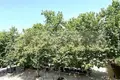 2 bedroom apartment 62 m² Municipality of Vari - Voula - Vouliagmeni, Greece