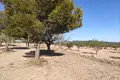 Apartment  el Pinos Pinoso, Spain