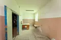 Producción 753 m² en Dziescanski sielski Saviet, Belarús