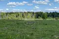 Grundstück  Wolokolamsker rajon, Russland