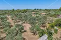 Land 1 500 m² Opcina Fazana, Croatia