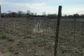 Działki 3 500 m² Tbilisi, Gruzja