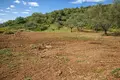 Land 13 380 m² Kassandrino, Greece