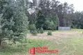 Casa 15 m² Parecki sielski Saviet, Belarús