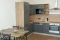 Apartamento 3 habitaciones 60 m² Praga, Chequia