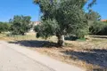 Działki 1 pokój  Skala Fourkas, Grecja